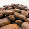 Raw cacao beans